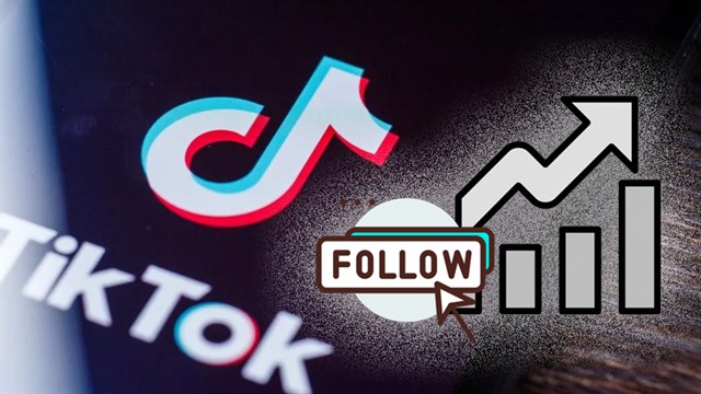 tăng follow tiktok uy tín 2024 tại Appmualike.com.vn