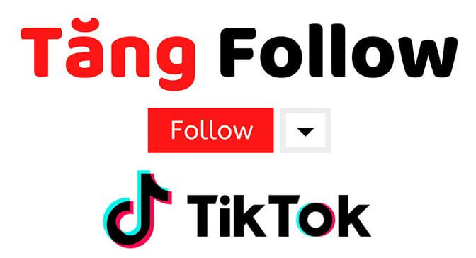 dịch vụ tăng follow Tiktok